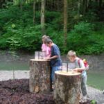 Fünf Kinder untersuchen Objekte auf Baumstümpfen, die als Tische in einem bewaldeten Außenbereich in der Nähe eines kleinen Baches dienen.