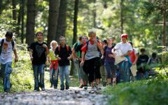 Eine Gruppe von Menschen, einige mit Rucksäcken und Landkarten, geht an einem sonnigen Tag einen Waldweg in einem bewaldeten Gebiet entlang.