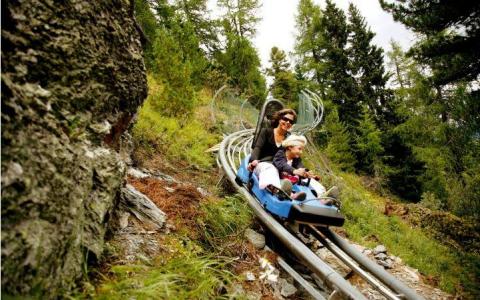 Zwei Personen fahren auf einem blauen Alpine Coaster eine Strecke durch eine bewaldete, bergige Gegend hinunter.