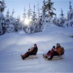 Zwei Personen fahren mit dem Schlitten einen verschneiten Hügel hinunter, mit schneebedeckten Bäumen und einer tief stehenden Sonne im Hintergrund.