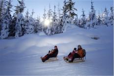 Zwei Personen fahren mit dem Schlitten einen verschneiten Hügel hinunter, mit schneebedeckten Bäumen und einer tief stehenden Sonne im Hintergrund.