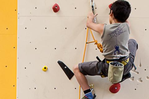 Ein Junge, der einen Klettergurt und eine Kletterausrüstung trägt, erklimmt eine Indoor-Kletterwand mit farbigen Griffen.