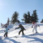 Drei Personen fahren auf einer sonnigen, schneebedeckten Piste inmitten von Pinienbäumen.