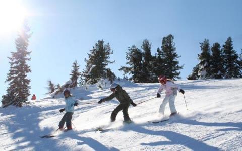 Drei Personen fahren auf einer sonnigen, schneebedeckten Piste inmitten von Pinienbäumen.