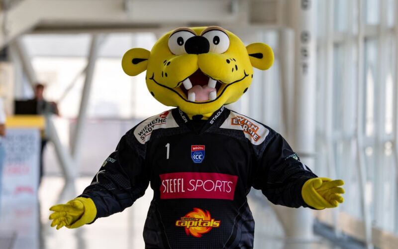Eine Person in einem gelben Raubkatzenkostüm, die ein schwarzes Trikot mit den Logos "Steel Sports" und "Capitals" trägt, steht mit leicht ausgestreckten Armen in der Halle.