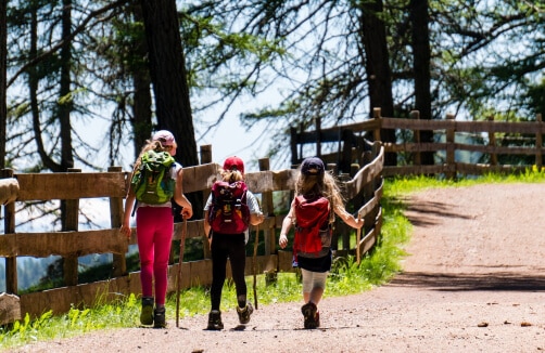 Drei Kinder mit Rucksäcken gehen an einem sonnigen Tag einen Feldweg neben einem Holzzaun in einem Waldgebiet entlang.