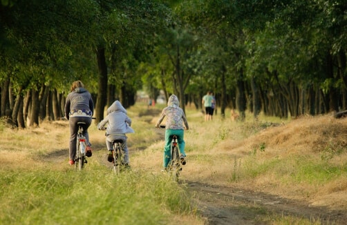 Drei Personen fahren mit ihren Fahrrädern auf einem unbefestigten Weg durch ein Waldgebiet mit Gras und Bäumen auf beiden Seiten.