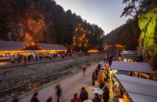 In der Abenddämmerung spazieren die Menschen zwischen den Ständen eines Weihnachtsmarktes in der Nähe eines bewaldeten Hügels, wo festliche Lichter und ein großer geschmückter Baum zu sehen sind.