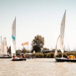 Mehrere kleine Segelboote mit Personen an Bord segeln auf einem ruhigen Gewässer in der Nähe eines Docks, mit Bäumen und anderen Booten im Hintergrund.