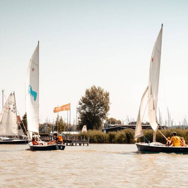 Mehrere kleine Segelboote mit Personen an Bord segeln auf einem ruhigen Gewässer in der Nähe eines Docks, mit Bäumen und anderen Booten im Hintergrund.