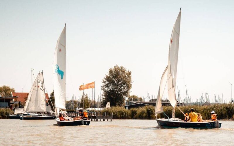Mehrere kleine Segelboote mit Personen an Bord segeln auf einem ruhigen Gewässer in der Nähe eines Docks, mit Bäumen und anderen Booten im Hintergrund.