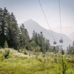 Die Sessellifte fahren über eine von Kiefern umgebene Wiese mit Bergen im Hintergrund unter einem dunstigen Himmel.