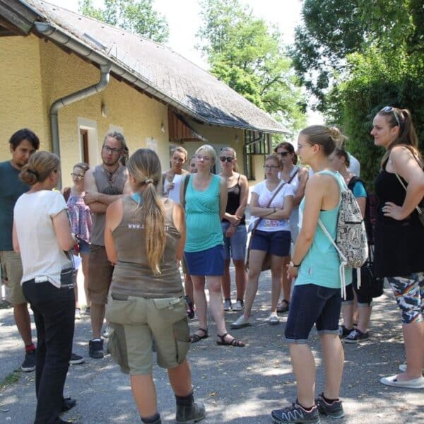 Eine Gruppe von Erwachsenen steht im Freien in einem Halbkreis in der Nähe eines Gebäudes und hört einer Person zu, die spricht. Einige Personen tragen Sonnenbrillen und Sommerkleidung. Bäume und eine Anzeigetafel sind zu sehen.