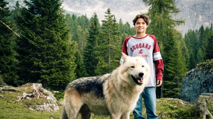 Ein Junge in einem rot-grauen Sweatshirt steht draußen in einem Wald neben einem großen, wolfsähnlichen Hund.