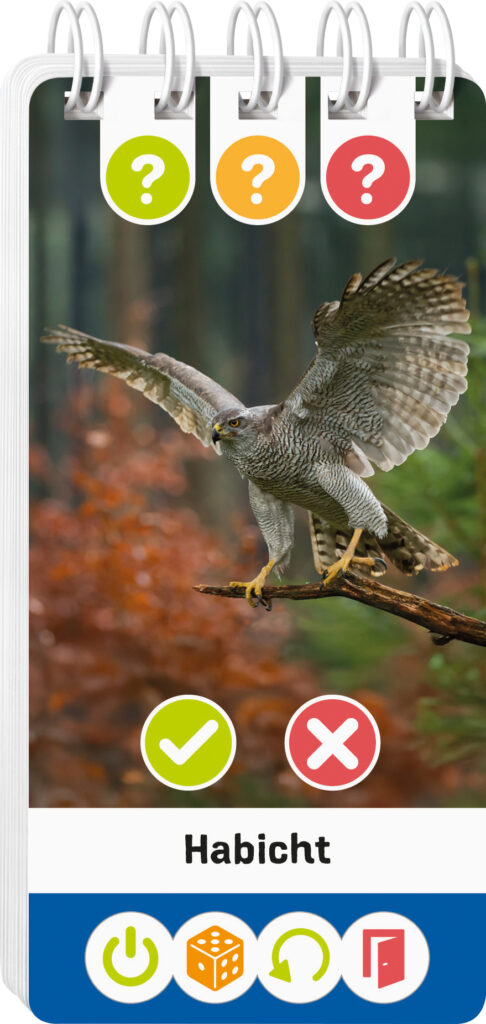 Ein Habicht breitet auf einem Ast sitzend seine Flügel aus; darunter steht der Text "Habicht", darüber farbige Symbole und Fragezeichen.