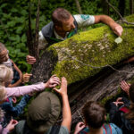 Ein Parkwächter zeigt einer Gruppe von Kindern Moos, das an einem umgestürzten Baum im Wald wächst. Die Kinder versammeln sich, beobachten genau und greifen nach dem Moos.