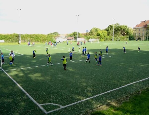 Die Jugendfußballer trainieren auf einem großen grünen Kunstrasenplatz bei Tageslicht, wobei mehrere Gruppen über das Spielfeld verteilt sind und verschiedene Übungen durchführen.