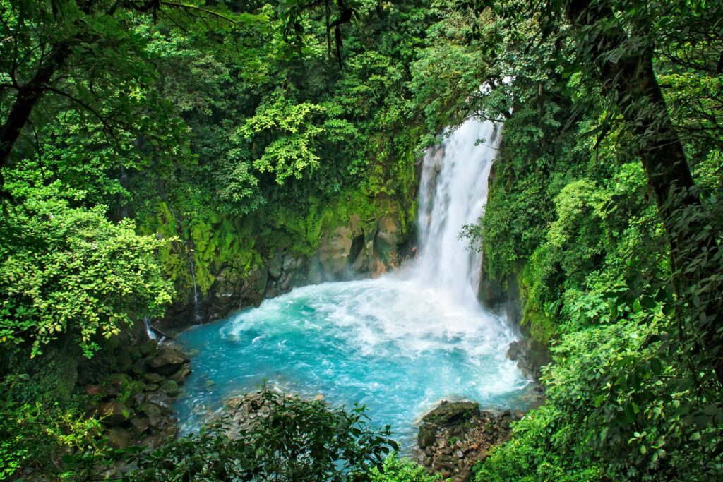 Ein Wasserfall stürzt in einen leuchtend blauen Pool, der von einem dichten, grünen Tropenwald umgeben ist.
