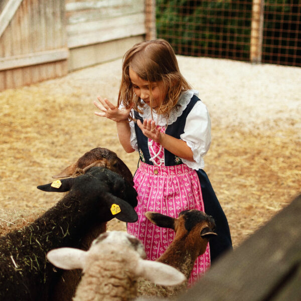 Ein junges Mädchen in einem rosa Kleid steht in einem Gehege, lächelt und gestikuliert mit den Händen, umgeben von mehreren Schafen und Ziegen.
