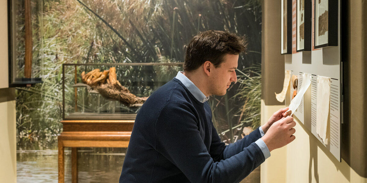 Ein Mann sitzt in einem Museumsraum und liest eine Informationstafel; im Hintergrund ist eine Glasvitrine zu sehen, in der ein Baumstamm und Pflanzen ausgestellt sind.