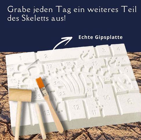 Weißer Gipsblock mit nummerierten Abschnitten, in denen Fossilienkonturen zu erkennen sind, ein kleiner Holzhammer und ein Pinsel auf einer Oberfläche mit Steinstruktur; ein deutscher Text beschreibt, wie täglich Skelettteile ausgegraben werden.