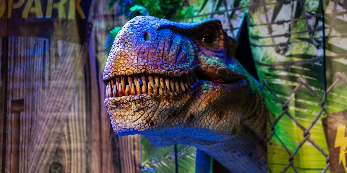Der Kopf eines Dinosauriermodells, der durch einen Ausschnitt in einer Ausstellung zum Thema „Jurassic Park“ hervorschaut.