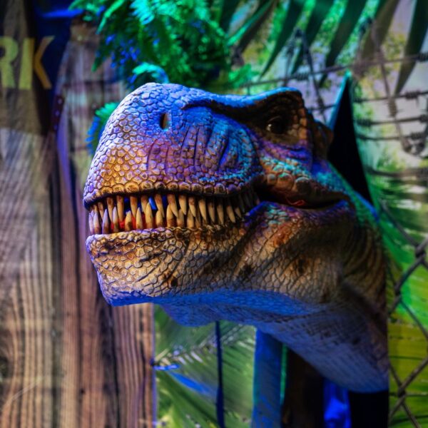 Der Kopf eines Dinosauriermodells, der durch einen Ausschnitt in einer Ausstellung zum Thema „Jurassic Park“ hervorschaut.
